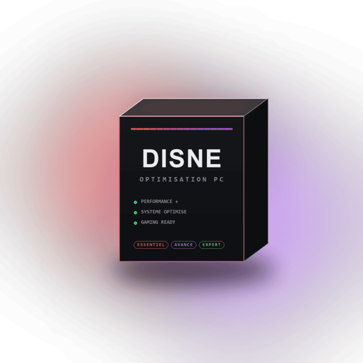 Boîte logicielle DISNE — Optimisation PC